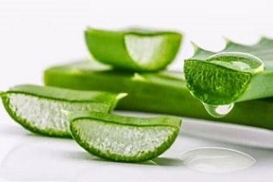 Aloe vera for prostatitis