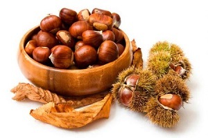 Horse chestnut for prostatitis