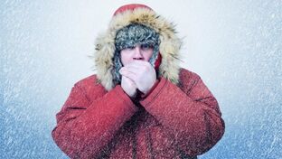 Hypothermia is the cause of prostatitis