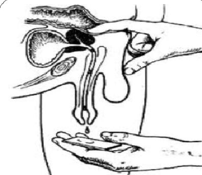Prostate massage promotes secretion
