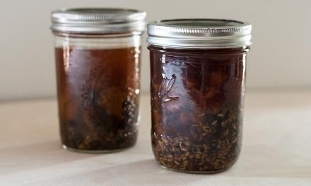 Tincture of poplar for prostatitis